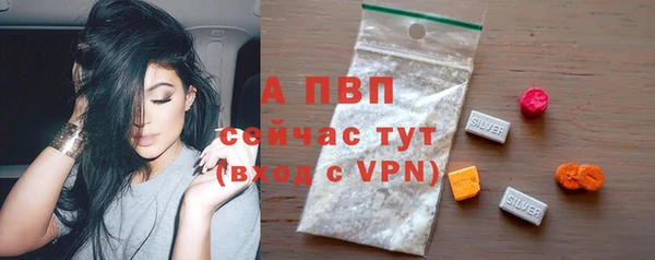 крисы Инсар
