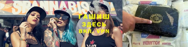 прущие грибы Инта