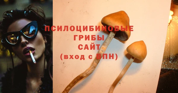 скорость Алзамай