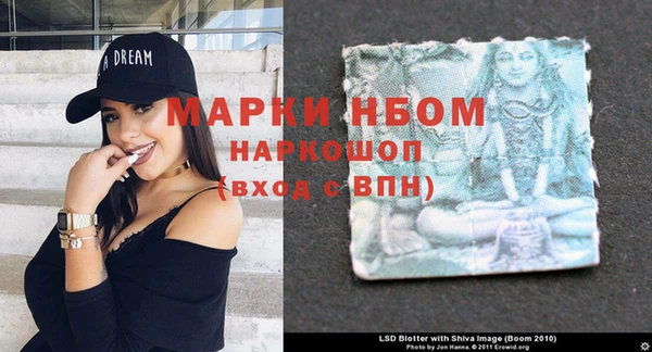 ГАЛЛЮЦИНОГЕННЫЕ ГРИБЫ Иннополис
